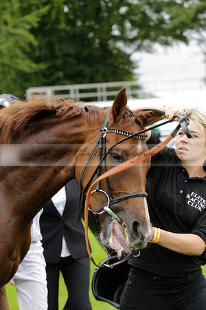 Race 6 Goodwood The British Stallion Studs Turf Club E.B.F. Fillies Stakes. 20130731. Race winner Ribbons owner Elite Racing Club