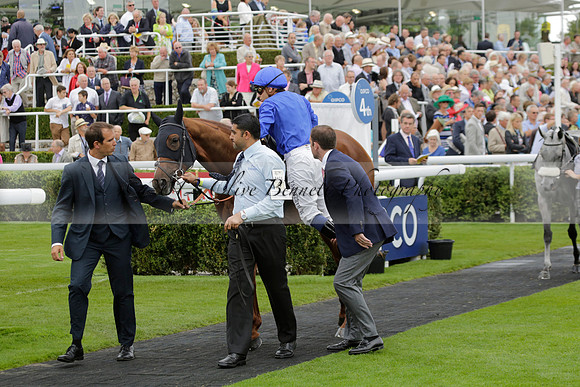 Race 6 Goodwood The British Stallion Studs Turf Club E.B.F. Fillies Stakes. 20130731. Race winner Ribbons owner Elite Racing Club