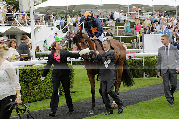 Race 6 Goodwood The British Stallion Studs Turf Club E.B.F. Fillies Stakes. 20130731. Race winner Ribbons owner Elite Racing Club