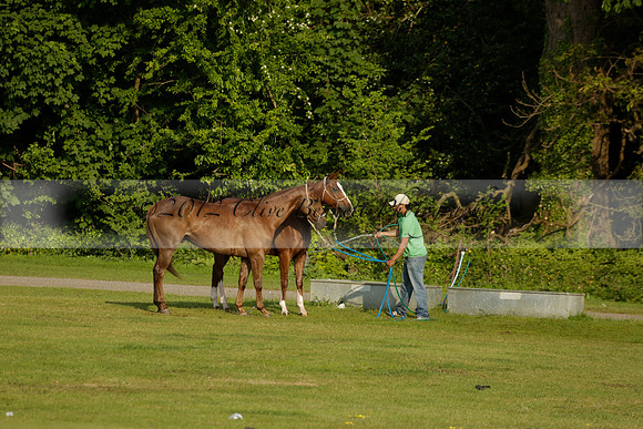 Shoreline v Cowdray Vikings in a Easebourne Cup Semi-final Polo match 2013.06.07