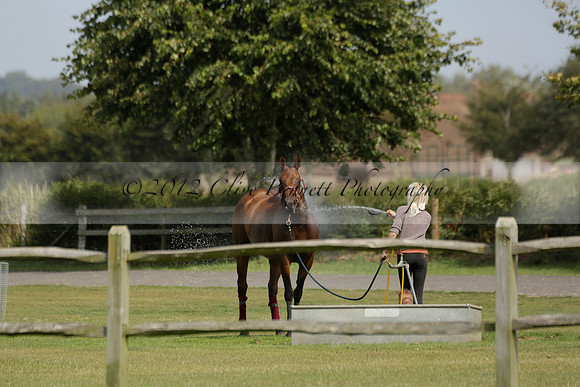 Maiz Dulce (green) v River (blue) in a Uber Polo Midsummer 12 goal polo match on Wednesday 21 August 2013 at Cowdray park Polo Club on Ambersham 2.  www.polopictures.co.uk