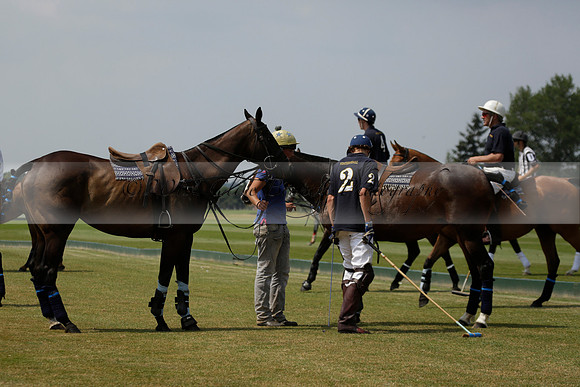 Silver Fox v Wintershall in a July 4 Goal Polo match 2013.07.17