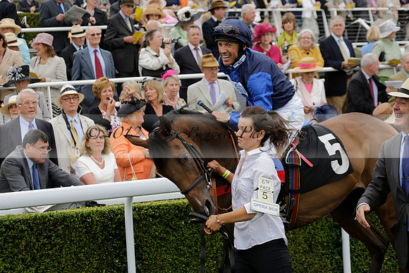 Race 6 Goodwood The British Stallion Studs Turf Club E.B.F. Fillies Stakes. 20130731. Race winner Ribbons owner Elite Racing Club