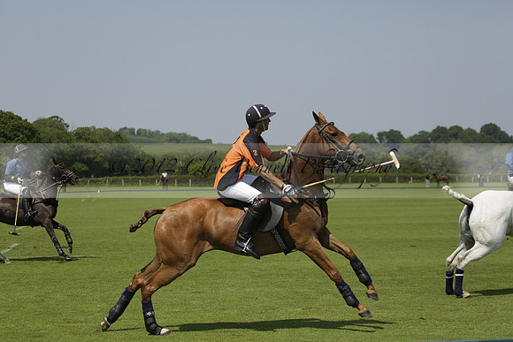Four Quarters Orange v Montana in a Cicero Cup Polo match 2013.06.06