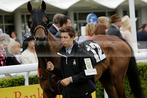 Race 6 Goodwood The British Stallion Studs Turf Club E.B.F. Fillies Stakes. 20130731. Race winner Ribbons owner Elite Racing Club