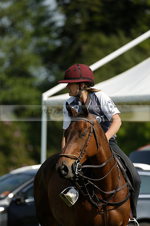 Lost Boys Cowdray Vikings in the Jaeger Le Coultre Duke of Sutherland Cup Subsidiary Final Polo match 2013.06.06