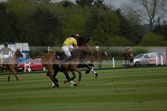 Las Estrellas v Shoreline in a May 4 Goal Spring Cup Polo match 2013.05.15