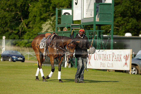 Shoreline v Cowdray Vikings in a Easebourne Cup Semi-final Polo match 2013.06.07