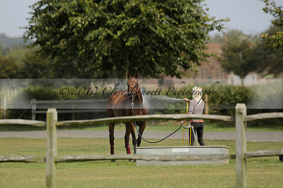 Maiz Dulce (green) v River (blue) in a Uber Polo Midsummer 12 goal polo match on Wednesday 21 August 2013 at Cowdray park Polo Club on Ambersham 2.  www.polopictures.co.uk