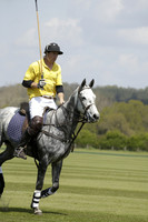 Maiz Dulce v Las Estrellas in a Barrett Cup Polo match 2013.04.27