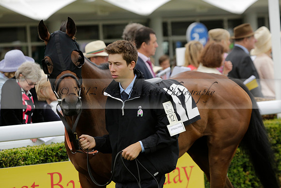Race 6 Goodwood The British Stallion Studs Turf Club E.B.F. Fillies Stakes. 20130731. Race winner Ribbons owner Elite Racing Club