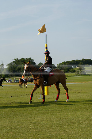 Shoreline v Cowdray Vikings in a Easebourne Cup Semi-final Polo match 2013.06.07