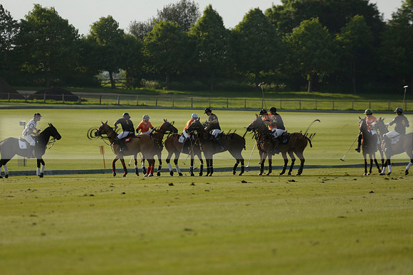 Shoreline v Cowdray Vikings in a Easebourne Cup Semi-final Polo match 2013.06.07