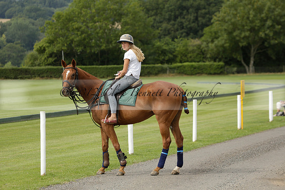 Beau Design v Boscom in an August Rother Cup 4 goal polo match at Cowdray Park Polo Club on Wednesday 07 August 2013