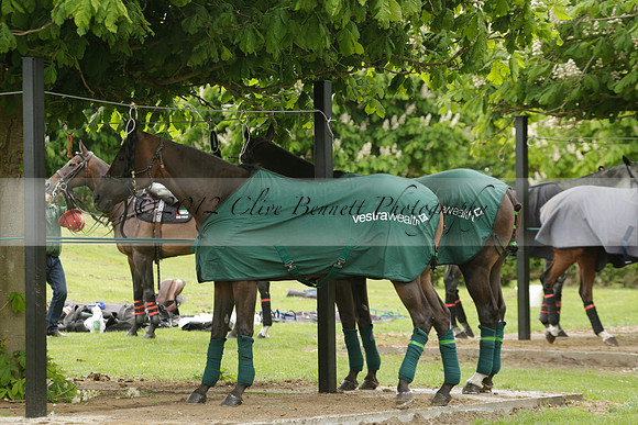 UAE Polo Team v Salkeld in a Queens Cup polo match 2013.05.23