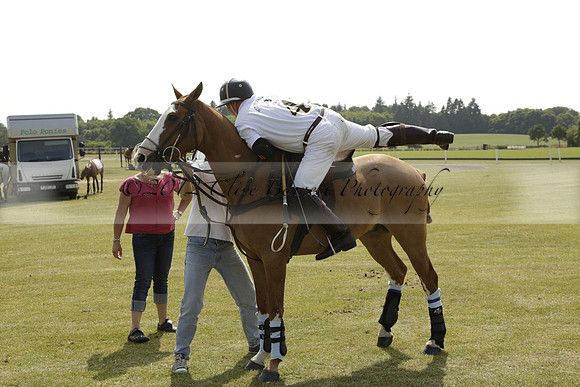 Witley Park v Athena in a Texaco Trophy polo Match 2013.07.12