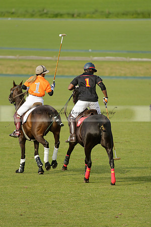 Shoreline v Cowdray Vikings in a Easebourne Cup Semi-final Polo match 2013.06.07