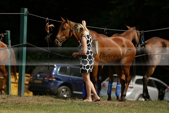 El Remanso v Sumaya in a Veuve Clicquot Gold Cup Polo Match 2013.07.13