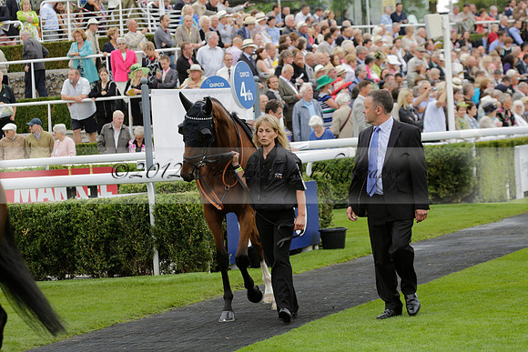 Race 6 Goodwood The British Stallion Studs Turf Club E.B.F. Fillies Stakes. 20130731. Race winner Ribbons owner Elite Racing Club