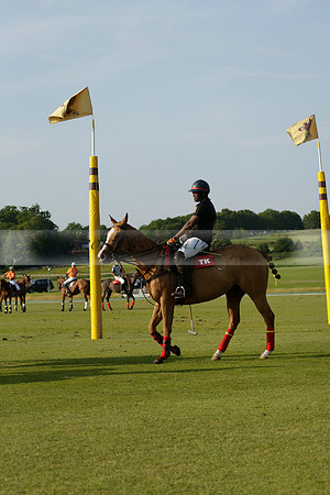 Shoreline v Cowdray Vikings in a Easebourne Cup Semi-final Polo match 2013.06.07