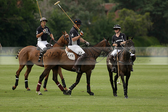 Beau Design v Boscom in an August Rother Cup 4 goal polo match at Cowdray Park Polo Club on Wednesday 07 August 2013