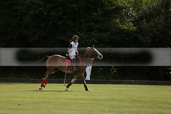 Thumos v Putney Architects in the -4 Goal Final at The Pro-Am City Polo Championships on Sunday 1 September 2013 at Ascot Park Polo Club. www.polopictures.co.uk