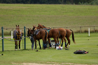 Beau Design v Boscom in an August Rother Cup 4 goal polo match at Cowdray Park Polo Club on Wednesday 07 August 2013
