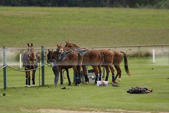 Beau Design v Boscom in an August Rother Cup 4 goal polo match at Cowdray Park Polo Club on Wednesday 07 August 2013