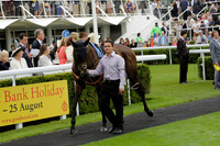 Race 6 Goodwood The British Stallion Studs Turf Club E.B.F. Fillies Stakes. 20130731. Race winner Ribbons owner Elite Racing Club