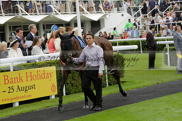 Race 6 Goodwood The British Stallion Studs Turf Club E.B.F. Fillies Stakes. 20130731. Race winner Ribbons owner Elite Racing Club