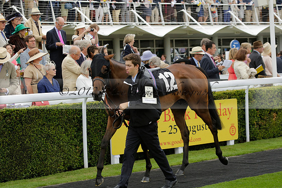 Race 6 Goodwood The British Stallion Studs Turf Club E.B.F. Fillies Stakes. 20130731. Race winner Ribbons owner Elite Racing Club