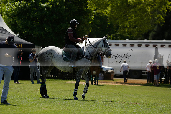 Black Bears v Salkeld in a Cartier Queens Cup polo match 2013.06.05