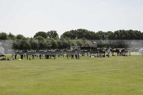 Les Lions v Salkeld in a Veuve Clicquot Gold Cup Polo Match 2013.07.11