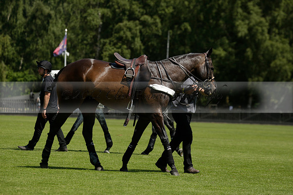 Black Bears v Salkeld in a Cartier Queens Cup polo match 2013.06.05