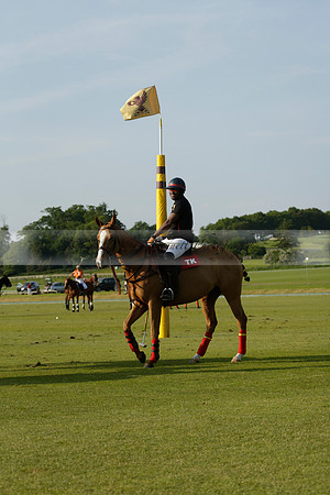 Shoreline v Cowdray Vikings in a Easebourne Cup Semi-final Polo match 2013.06.07