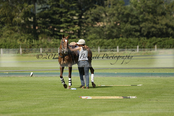 Maiz Dulce (green) v River (blue) in a Uber Polo Midsummer 12 goal polo match on Wednesday 21 August 2013 at Cowdray park Polo Club on Ambersham 2.  www.polopictures.co.uk
