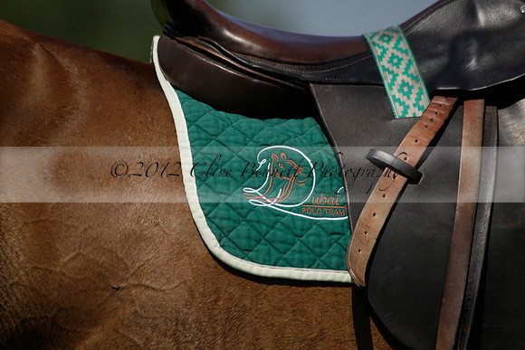 Enigma v Dubai in a Veuve Clicquot Gold Cup Polo Match 2013.07.08