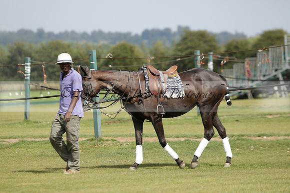 Maiz Dulce (green) v River (blue) in a Uber Polo Midsummer 12 goal polo match on Wednesday 21 August 2013 at Cowdray park Polo Club on Ambersham 2.  www.polopictures.co.uk