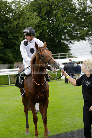 Race 6 Goodwood The British Stallion Studs Turf Club E.B.F. Fillies Stakes. 20130731. Race winner Ribbons owner Elite Racing Club