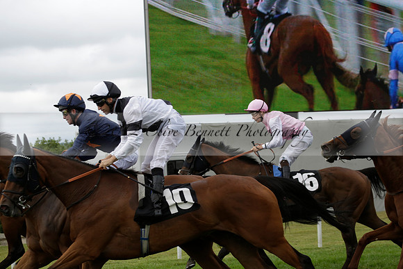 Race 6 Goodwood The British Stallion Studs Turf Club E.B.F. Fillies Stakes. 20130731. Race winner Ribbons owner Elite Racing Club