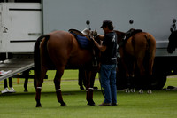 Shoreline v Turquoise in a Benson Cup Polo match 2013.06.24