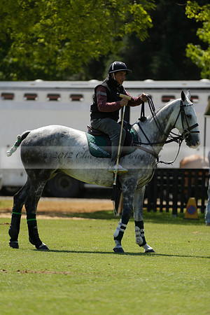 Black Bears v Salkeld in a Cartier Queens Cup polo match 2013.06.05