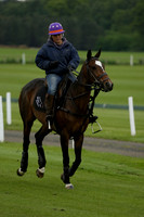 Maiz Dulce Combe Place in a Jubilee Cup 6 Goal Polo match2013.05.29
