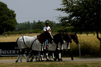 Silver Fox v Wintershall in a July 4 Goal Polo match 2013.07.17
