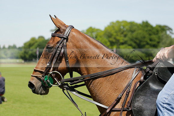 Black Bears v Salkeld in a Cartier Queens Cup polo match 2013.06.05