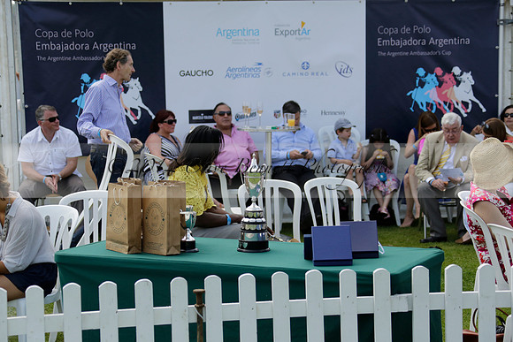 Zacara v Les Lions in a Veuve Clicquot Gold Cup Polo Match 2013.07.06