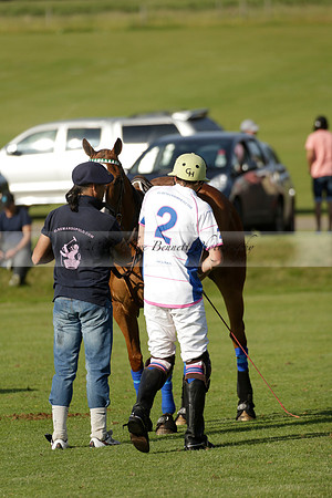 El Remanso v Emlor in a Veuve Clicquot Gold Cup Polo Match 2013.06.30