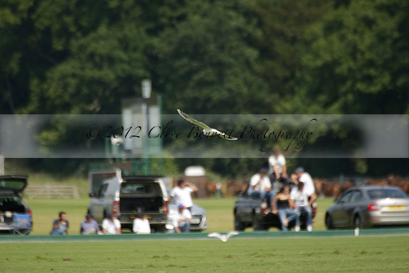 Zacara v Les Lions in a Veuve Clicquot Gold Cup Polo Match 2013.07.06