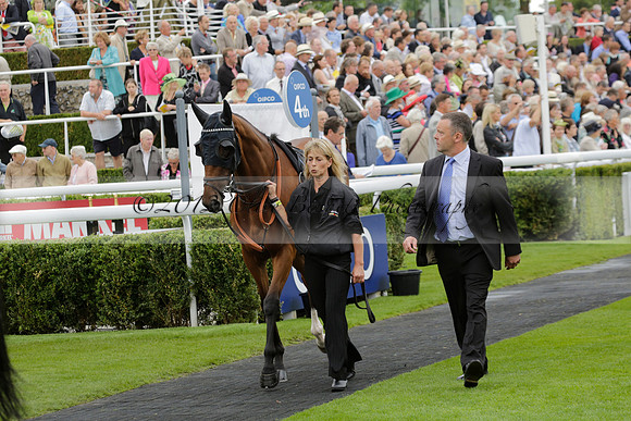 Race 6 Goodwood The British Stallion Studs Turf Club E.B.F. Fillies Stakes. 20130731. Race winner Ribbons owner Elite Racing Club