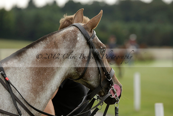 Beau Design v Boscom in an August Rother Cup 4 goal polo match at Cowdray Park Polo Club on Wednesday 07 August 2013